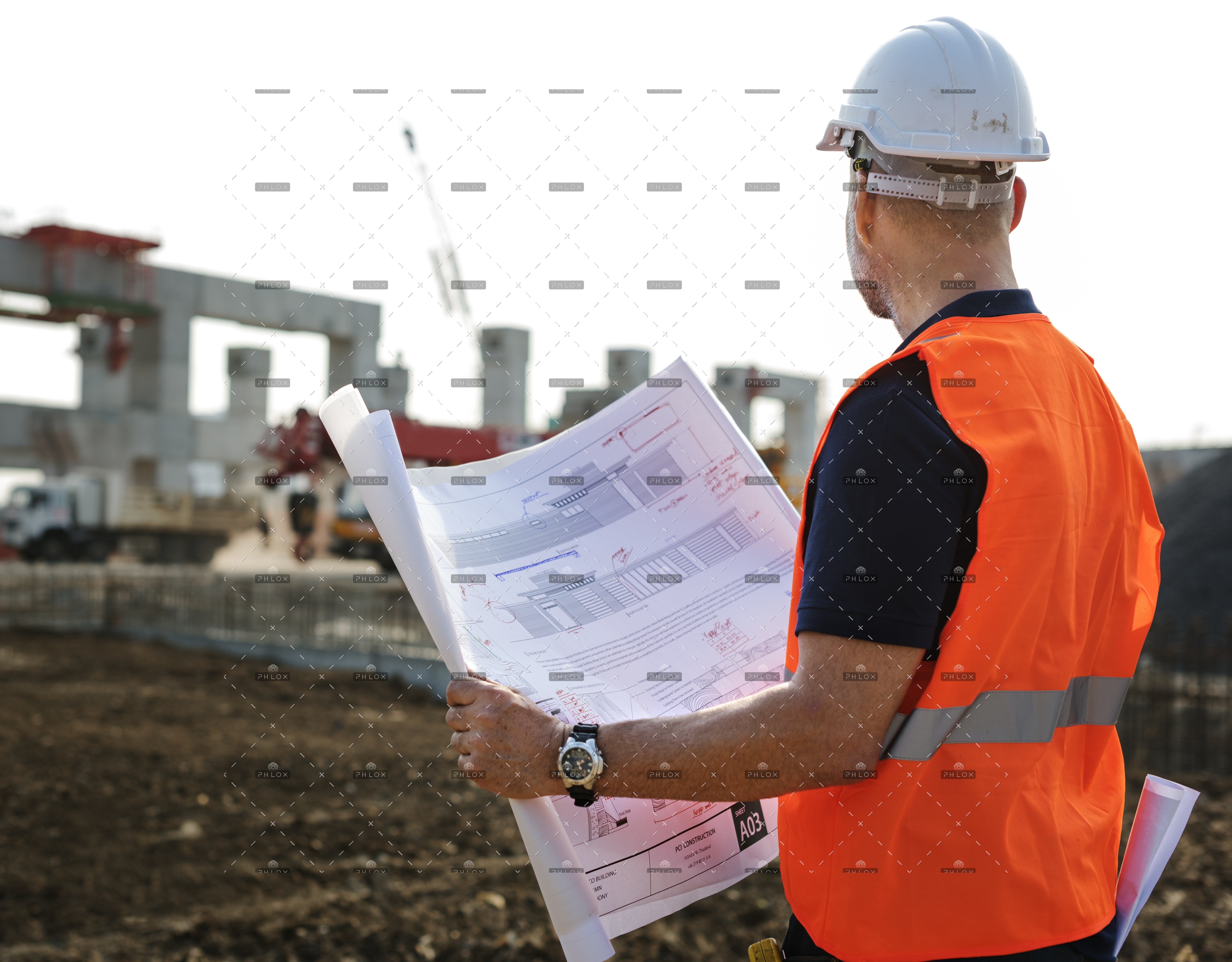 blueprint-architect-career-structure-construction-PCCNUB5